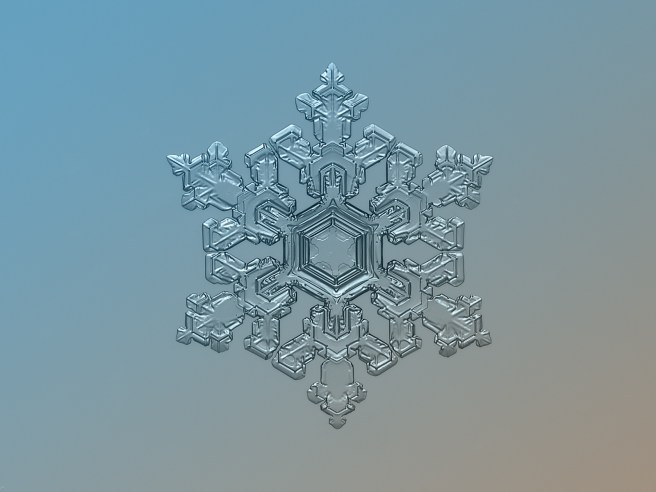 snowflake_macro_ornate_pattern_Olga-Syntina-and-alexesy-Kljatov _ CC