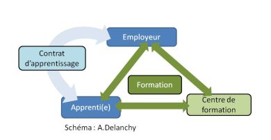 schéma_employeur_apprentie_cfa